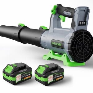 Cordless Leaf Blower with Batteries